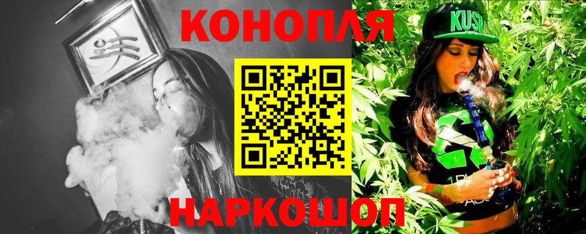 Шишки марихуана марихуана  Канабис White Widow  Бошки марихуана план  Вход с VPN  Каннабис планчик  Луга 